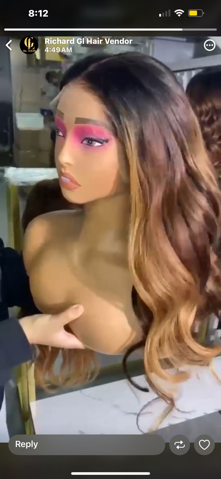 Virgin Brazilian Body Wave Lace Front Wig